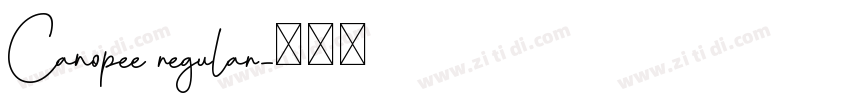 Canopee regular字体转换